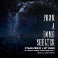 From a Bomb Shelter_Stolen Forest,Hot Sugar