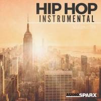 Hip Hop Is in Your Veins_Bobby Cole