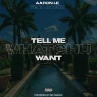 Tell Me Whatchu Want(feat. Bayon)_Aaron Le,Bayon