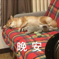 唐僧在女儿国抒怀并看着女儿国王的眼睛_Jesse Lee