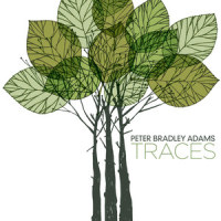 I Cannot Settle Down_Peter Bradley Adams