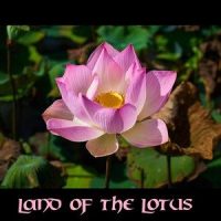 Star Lotus_Junk