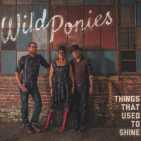 Massey's Run_Wild Ponies