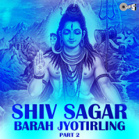 Tu Nageshwar_Anup Jalota,Sadhana Sargam