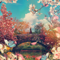 만개(Full Bloom)_The Stray