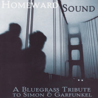 Bridge Over Troubled Water_Pickin' On Series,Paul Simon