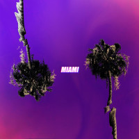 Miami_Erik Frank