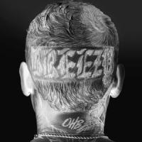 Hate Being Human_Chris Brown