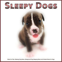 Floppy Ears_Sleepy Dogs,Pet Care Club,Dog Music