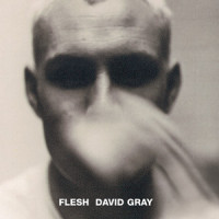 Falling Free_David Gray