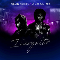 Incognito(feat. Alkaline)_Stalk Ashley,Alkaline