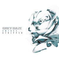 Soul Song_Grey Daze