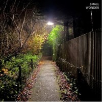 It's Already Yours_Small Wonder