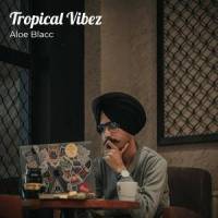 Tropical Vibez_Aloe Blacc