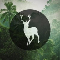 So Close_Tom Misch,Carmody,Wild Culture