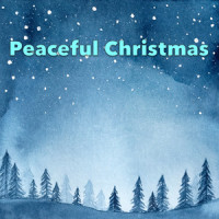 White Christmas_André Rieu,Johann Strauss Orchestra