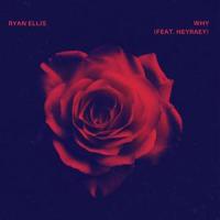 Why(feat. heyraey)_Ryan Ellis,heyraey
