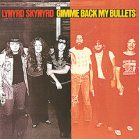Searching_Lynyrd Skynyrd