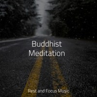 Background Calm_Study Zone,Deep Sleep Systems,Wellness