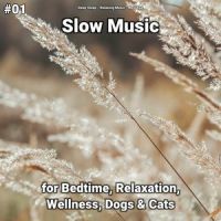Relaxing Music for Babies and Moms_Relaxing Music,New Age,Deep Sleep