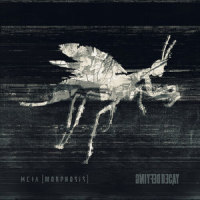 Ghost_Defying Decay