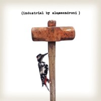 Amperometri_Alessandro Alessandroni