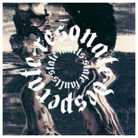 Diamond Dust_State Faults