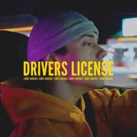 Drivers License_Leroy Sanchez