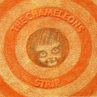 Less That Human_The Chameleons