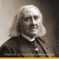 Consolations No. 1, Andante Con Moto, E Major_Robert von Heeren,Franz Liszt