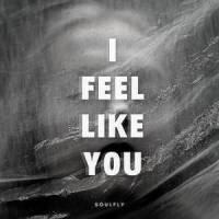 I Feel Like You_Soulfly