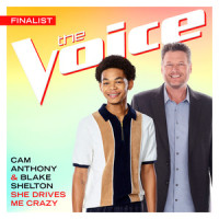 She Drives Me Crazy_Cam Anthony,Blake Shelton
