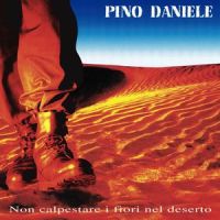 Se mi vuoi_Irene Grandi,Pino Daniele