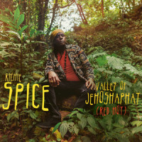 Valley of Jehoshaphat (Red Hot)_Richie Spice