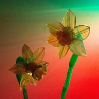 Highway Daisies_Alina Maira,Samantha Castrale