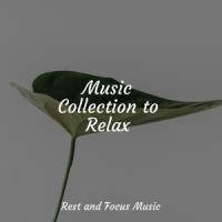 Soothing Southern Sounds_Sleepy Times,Alpha Waves,Smart Baby Lullaby