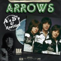 My Last Night With You_The Arrows