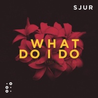 What Do I Do_SJUR