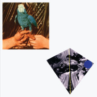 Roma Fade_Andrew Bird