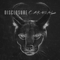 Superego_Disclosure,NAO