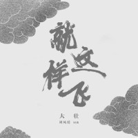 就这样飞_大壮