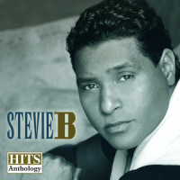 Summer Nights_Stevie B