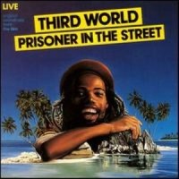 96 in the Shade_Third World