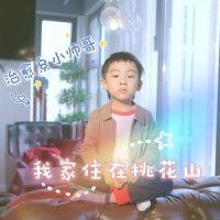 我家住在桃花山_小石头和孩子们