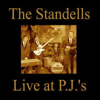 What Have I Got of My Own_The Standells
