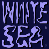 Fake Cry_White Sea