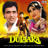 Dil Yahin Kahin Kho Gaya Hai Mera_Kumar Sanu,Alka Yagnik