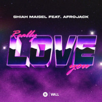 Really Love You(feat. Afrojack)_Shiah Maisel,Afrojack