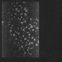 Dispersed Energy_Motorama