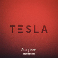 Tesla_MiC LOWRY,Diztortion